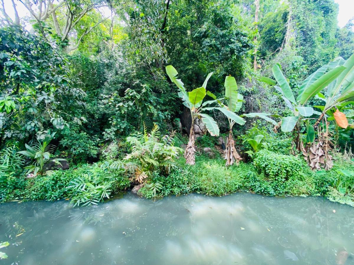 Nature Villa Unawatuna Galketiya Eksteriør billede