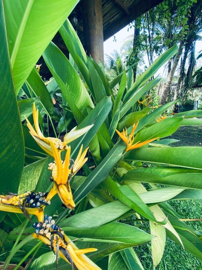 Nature Villa Unawatuna Galketiya Eksteriør billede